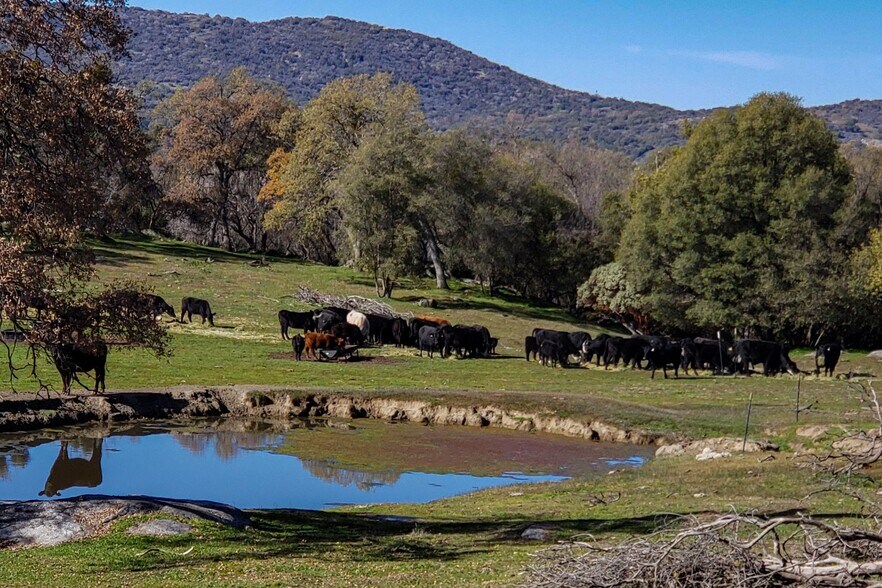 More Photos Of Dry Creek Drive, Badger Land For Sale