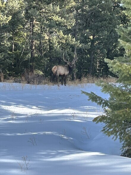 More Photos Of 11696 Trappers Mountain Trl, Littleton Land For Sale
