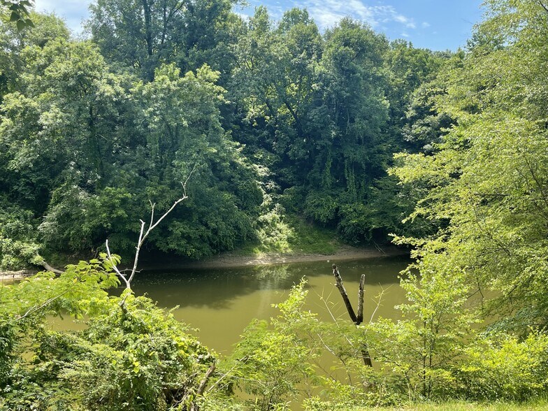 More Photos Of Coon Creek Road Rd @ Hull Road, Sipsey Land For Sale