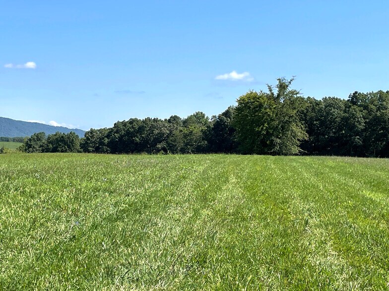 More Photos Of Flatwoods Road, Mosheim Land For Sale