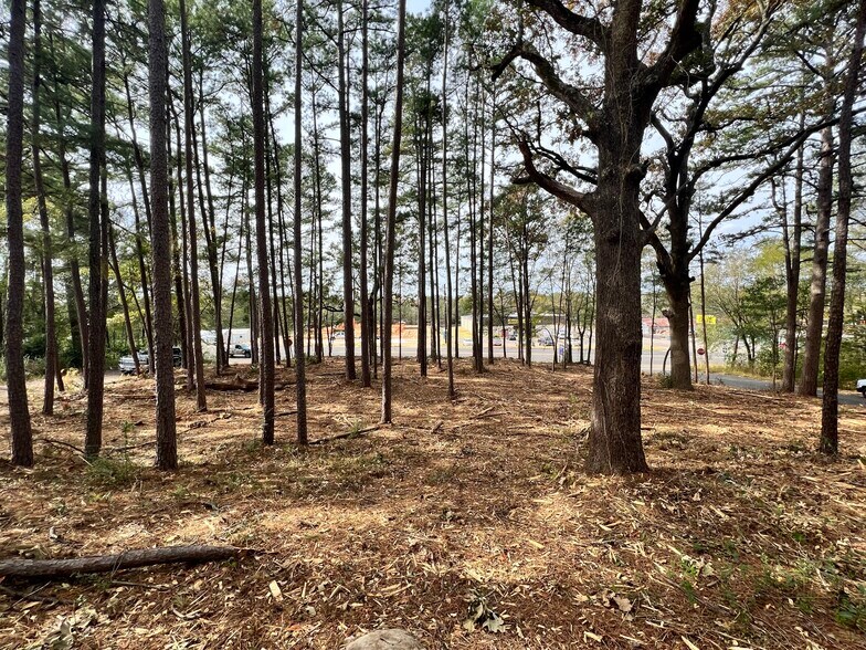 More Photos Of S Commerce @ Brandon St E, Overton Land For Sale