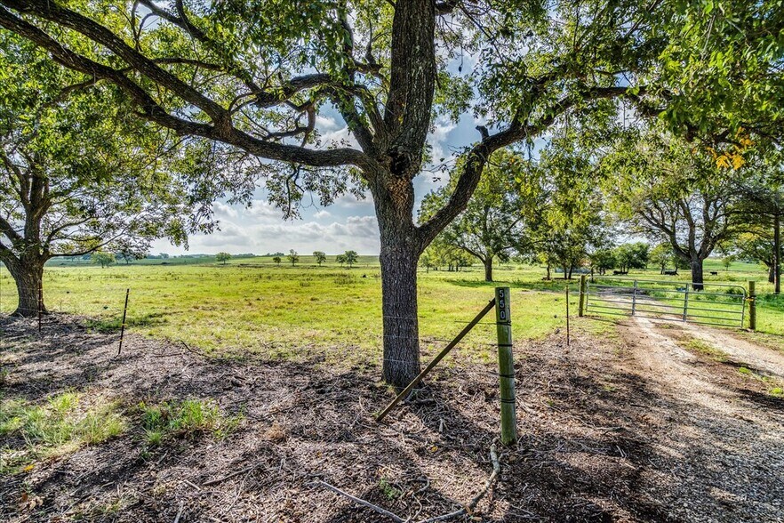 More Photos Of 550 County Road 404, Taylor Land For Sale