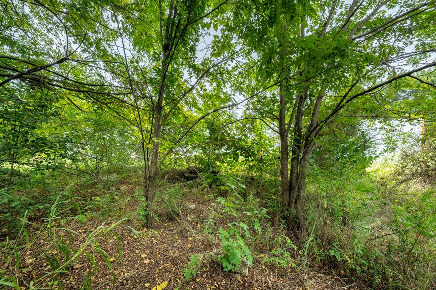 More Photos Of 1558 Main St, Yanceyville Land For Sale