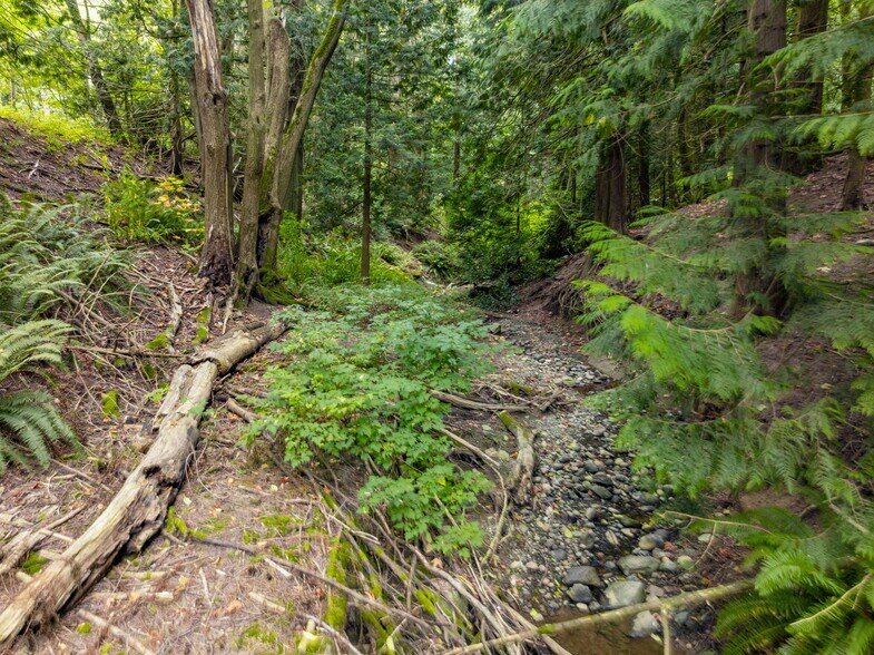 More Photos Of NNA Aldergrove Rd & Church Rd, Ferndale Land For Sale