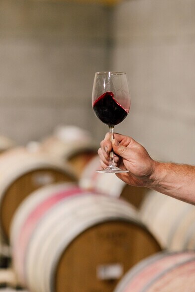 More Photos Of 4290 Mt Baker hwy, Everson Winery Vineyard For Sale