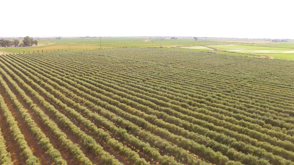 Primary Photo Of Cottonwood Road @ Hwy 99 & Hwy 70, Oroville Land For Sale