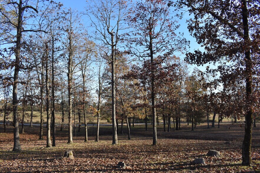 More Photos Of 158 Ragon Road, Tilly Office For Sale