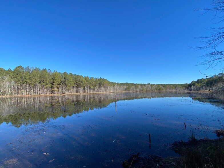 More Photos Of 1021 Ready Pond Rd, Batesburg-Leesville Land For Sale