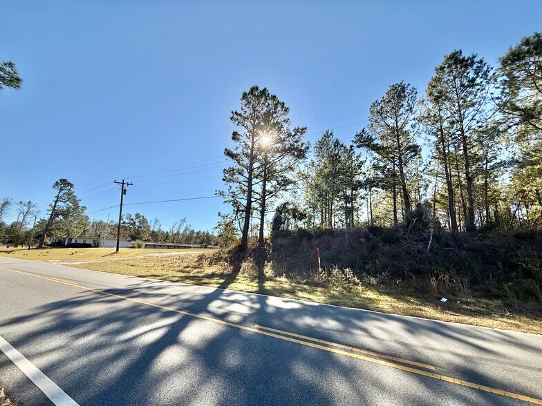 More Photos Of 1028 Sand Pit Rd, Lumber City Specialty For Sale