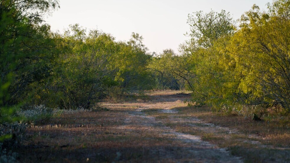 More Photos Of 879 County Road 421, Gonzales Land For Sale