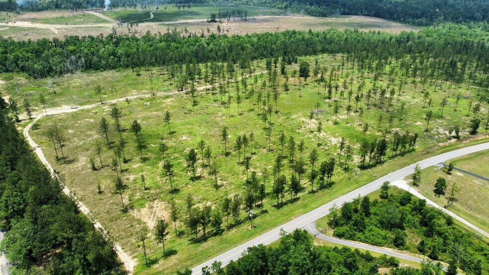 More Photos Of County Road 64, Robertsdale Land For Sale