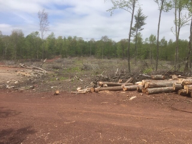 More Photos Of 20 Old Birch Rd, Union Land For Sale