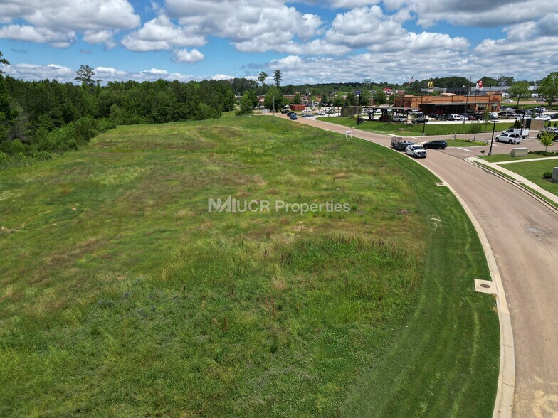 More Photos Of 201 Disotell Blvd, Brandon Land For Sale