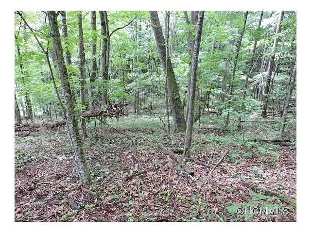 More Photos Of 329 Hamlin Lane, Mars Hill Land For Sale