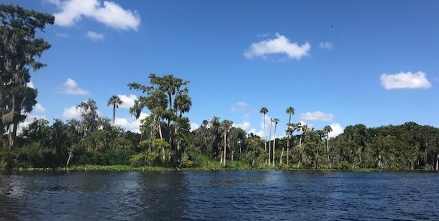 More Photos Of 2738 Botts Landing Rd, Deland Land For Sale