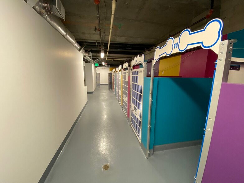 More Photos Of 1243 S Olive St, Los Angeles Apartments For Lease