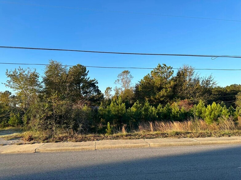 More Photos Of 2695 Paxville Hwy, Manning Land For Sale