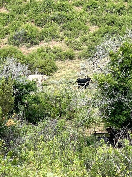 More Photos Of 10 Painted Hills Dr, Sheridan Land For Sale
