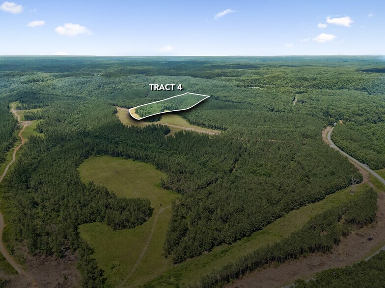 More Photos Of 1420 Big Swan Creek Rd, Summertown Land For Sale