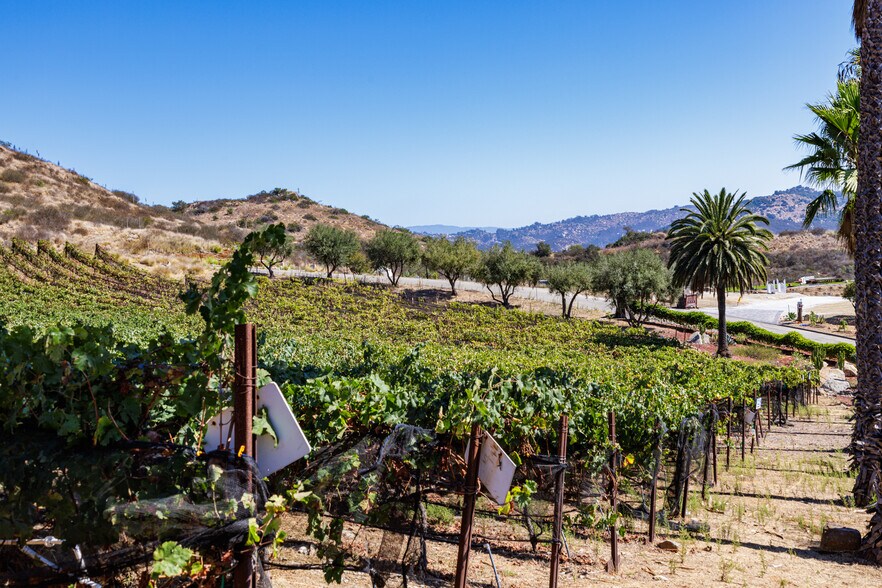 More Photos Of 2286 Sunshine Mountain Rd, San Marcos Winery Vineyard For Sale