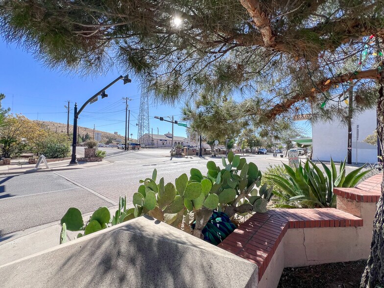 More Photos Of 101 E Holland Ave, Alpine Land For Sale