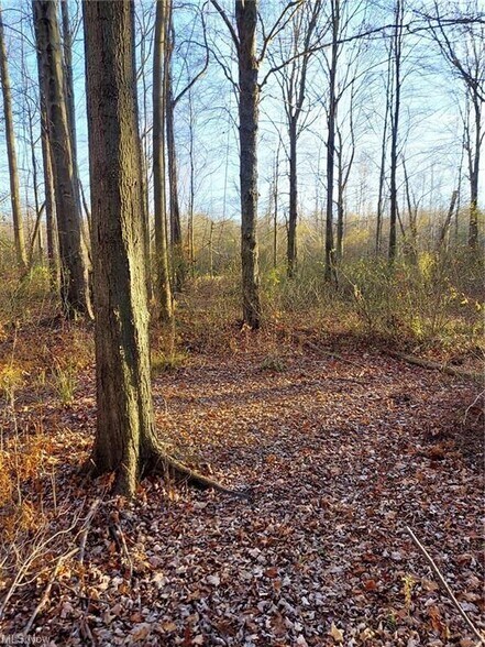 More Photos Of Magnolia Dr, Madison Land For Sale