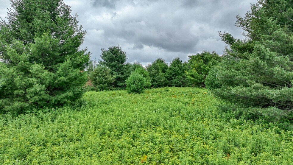 More Photos Of 4E West Twin Lake Road, Hayward Land For Sale