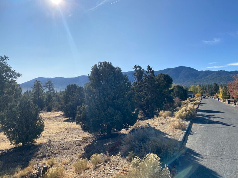 More Photos Of 0 Pine Ln, Big Bear City Land For Sale