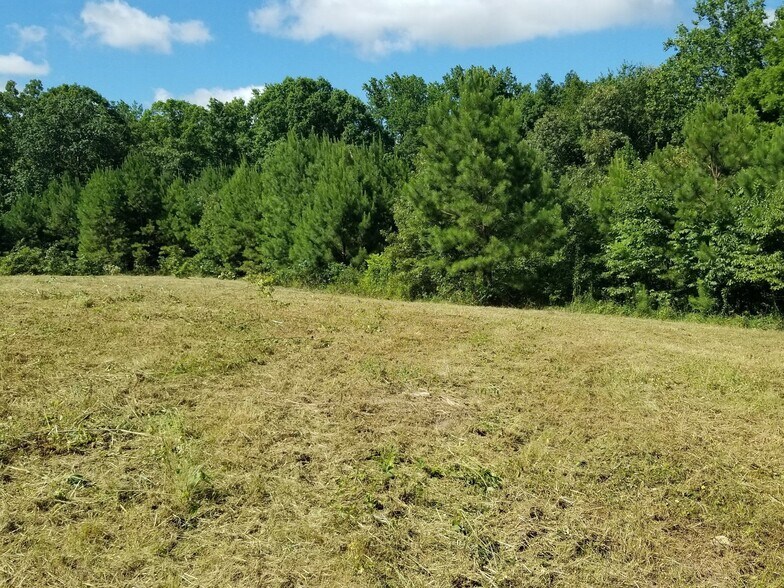 More Photos Of 1331 Highway 100, Centerville Restaurant For Sale