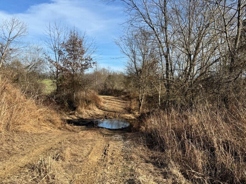 More Photos Of 1050 Stiles Ford Rd, Hodgenville Land For Sale