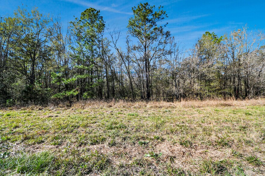 More Photos Of 0 CR6242, Huffman Land For Sale