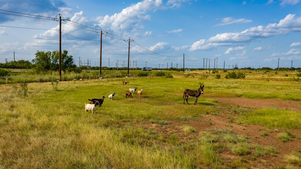 More Photos Of 175 County Road 1151, Pearsall Land For Sale