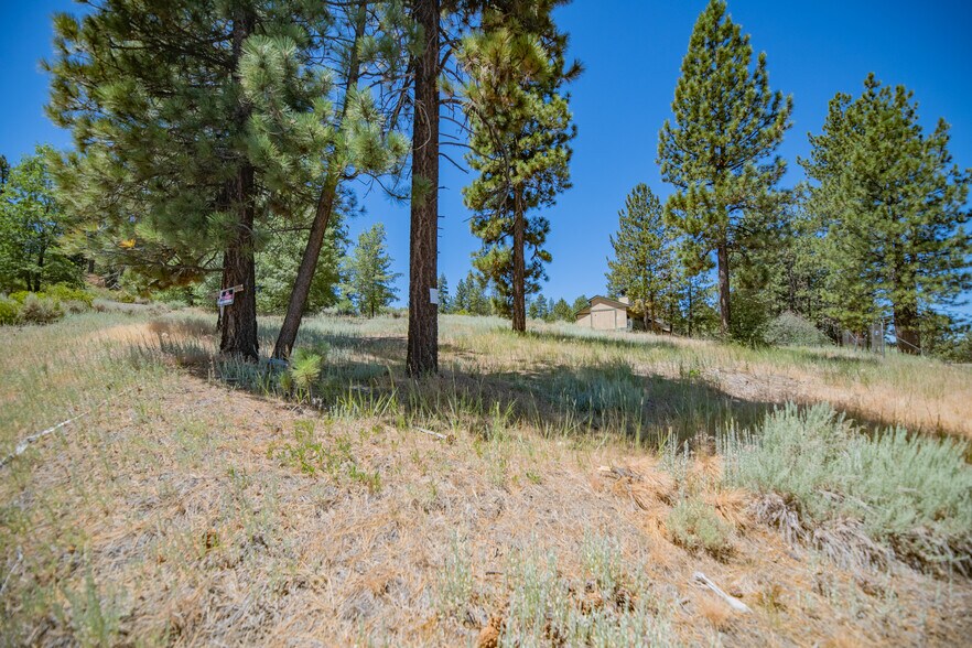 More Photos Of 40111 Big Bear Blvd, Big Bear Lake Land For Lease