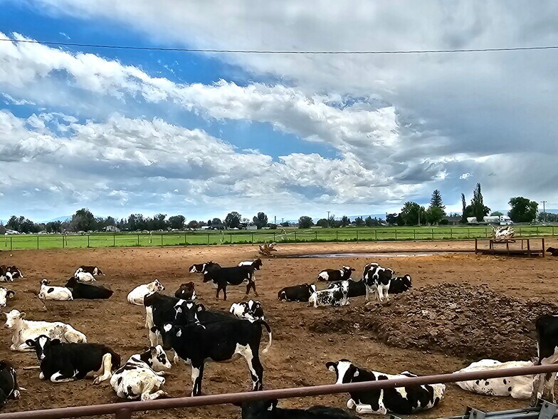 More Photos Of 200 S 585 W w, Paul Land For Sale