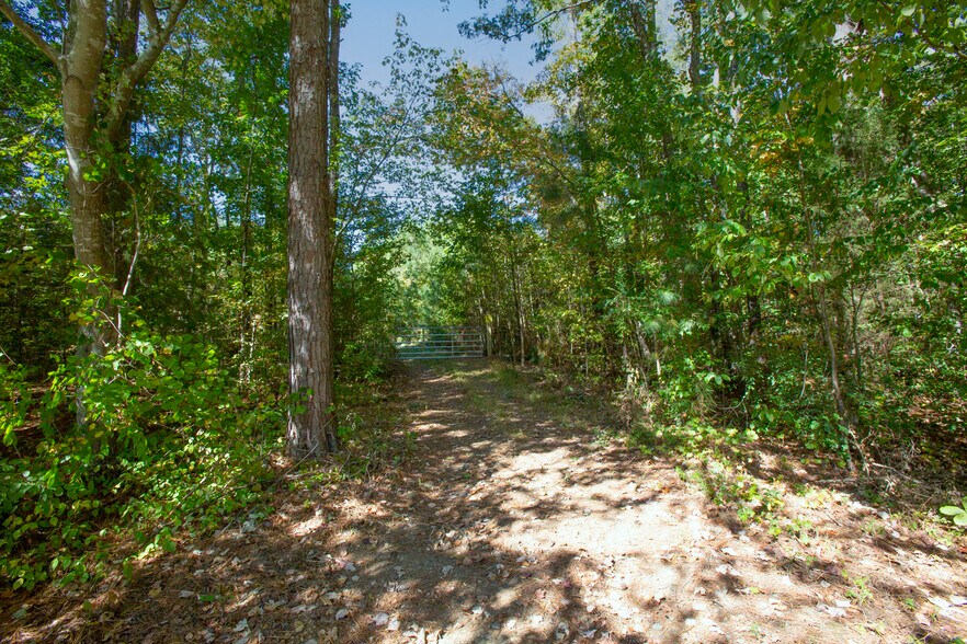 More Photos Of Walter Bright Road & 15-501, Sanford Land For Sale