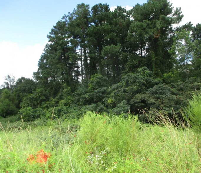 More Photos Of 503 N Mill St, Nicholls Land For Sale