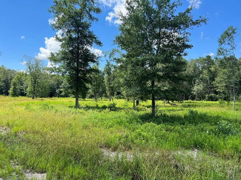 More Photos Of 400 Chula Brookfield Rd, Chula Land For Sale