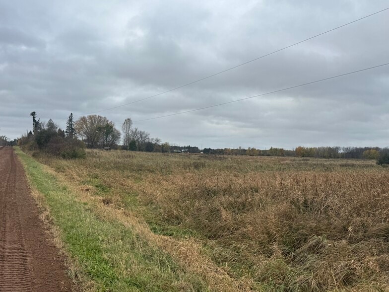 More Photos Of 31326 Teal Ave, Shafer Land For Sale