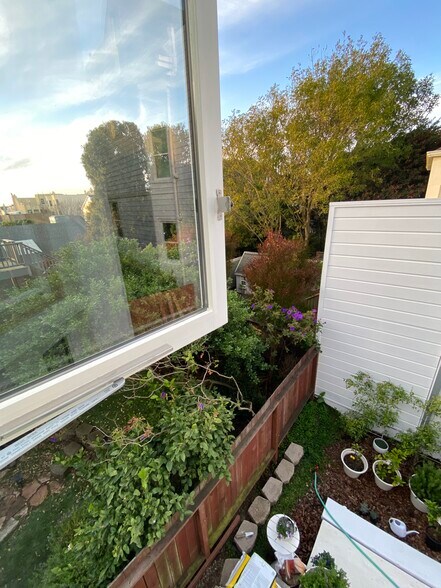 More Photos Of 3516 Sacramento St, San Francisco Storefront Retail Office For Lease