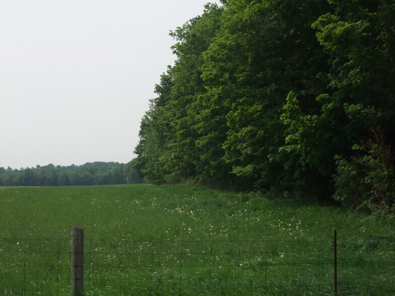 More Photos Of 8949 Wellington 22, Erin Land For Sale