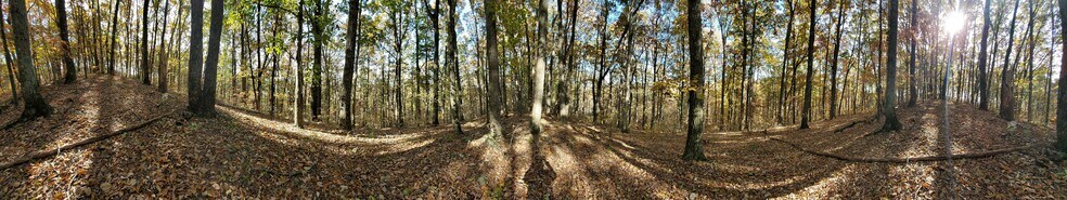 More Photos Of 1000 Block Of US-Hwy 64, Ocoee Land For Sale