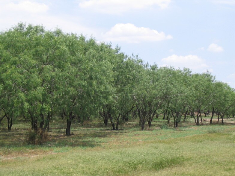 Primary Photo Of 1008 N Mayberry Blvd, Alton Land For Sale