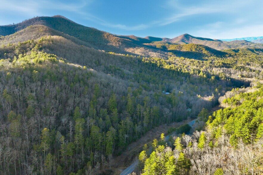 More Photos Of 0 Georgia 75/17, Hiawassee Land For Sale
