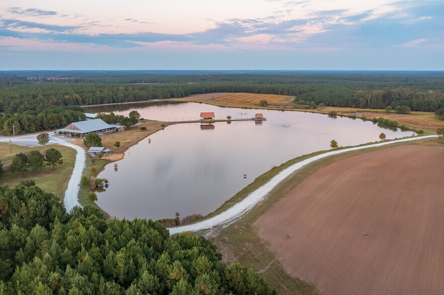More Photos Of 18618 Hwy 43, Linden Land For Sale