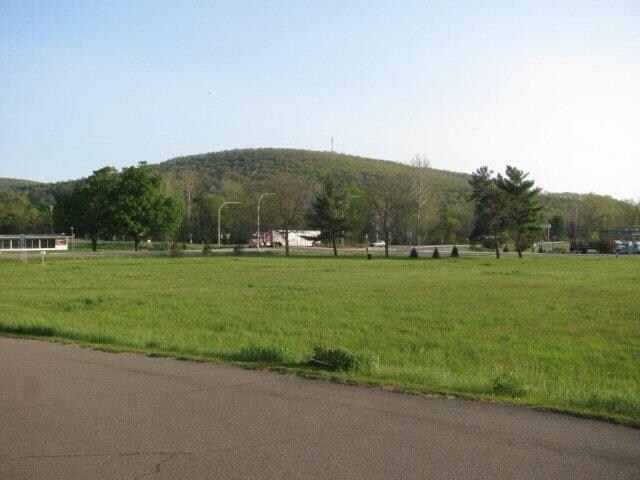 Primary Photo Of 565 State route 13, Horseheads Land For Sale