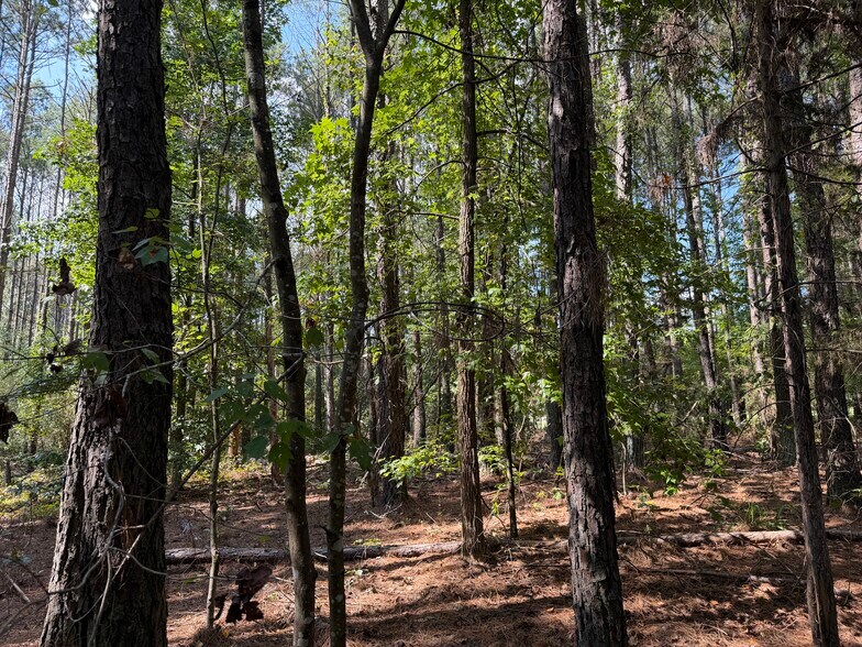 More Photos Of 107 Popham rd, Taylorsville Land For Sale