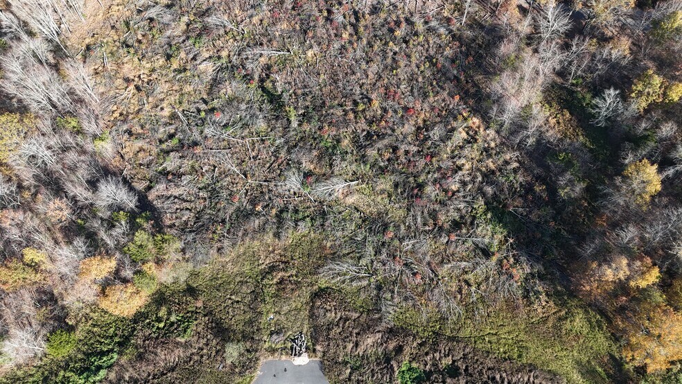 More Photos Of 0 Whiting Rd, Marshall Land For Sale