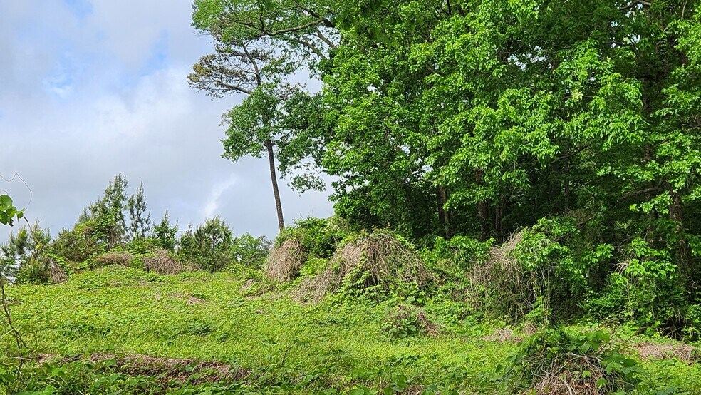 More Photos Of Near 5370 Deerfoot Parkway Pky, Trussville Land For Sale