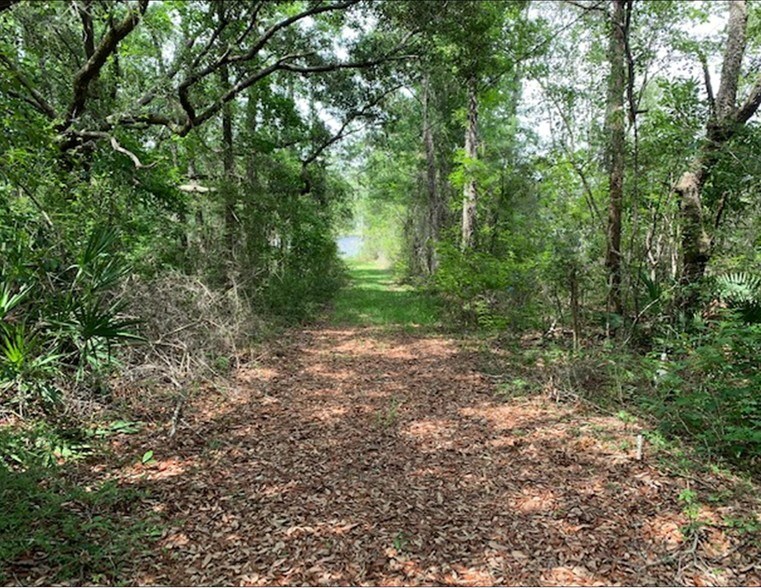 More Photos Of Hwy 331, Freeport Land For Sale