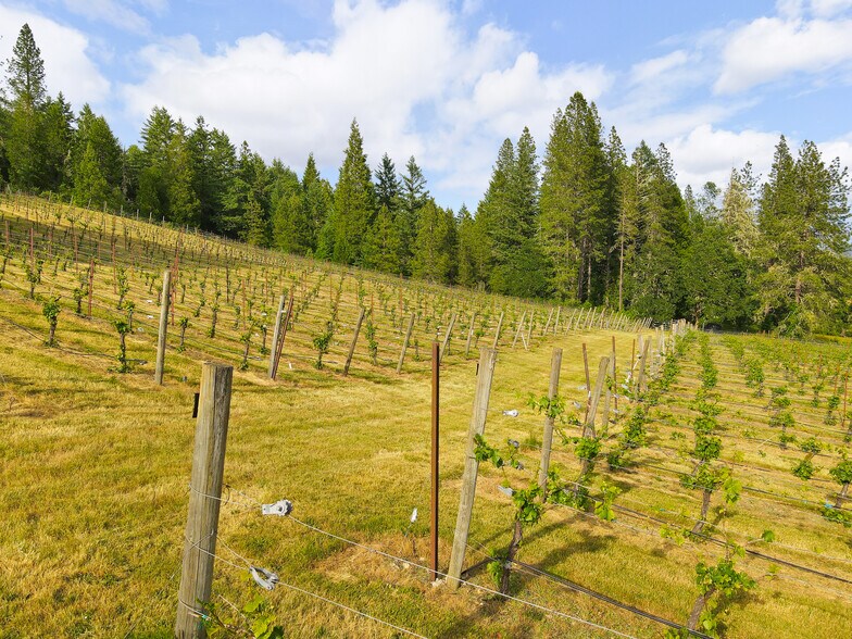 More Photos Of 1329 Larson Rd, Roseburg Winery Vineyard For Sale